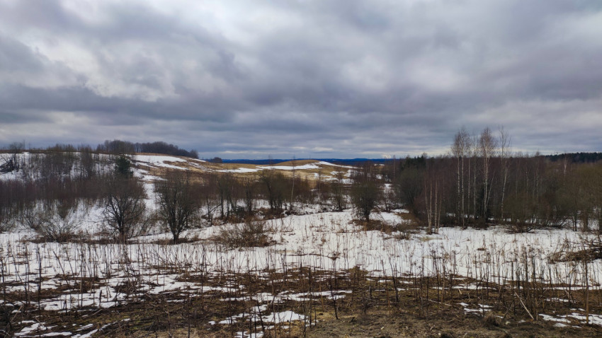 Зимний холмистый пейзаж с остатками снега и деревьями