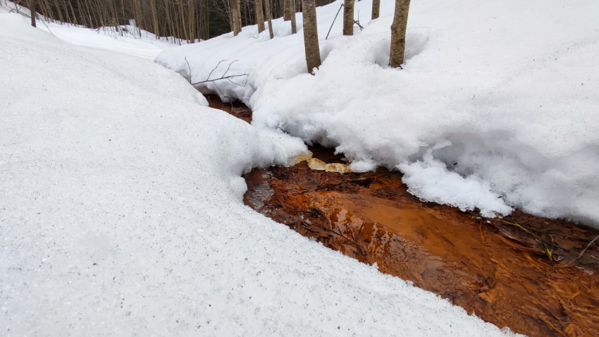 Лесной ручей с талой водой среди снежных сугробов