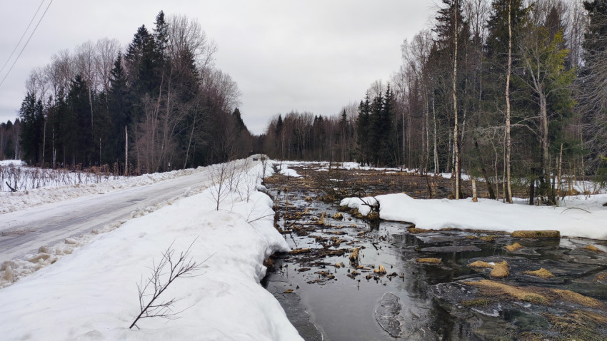 Дорога вдоль весеннего болота с тающим снегом