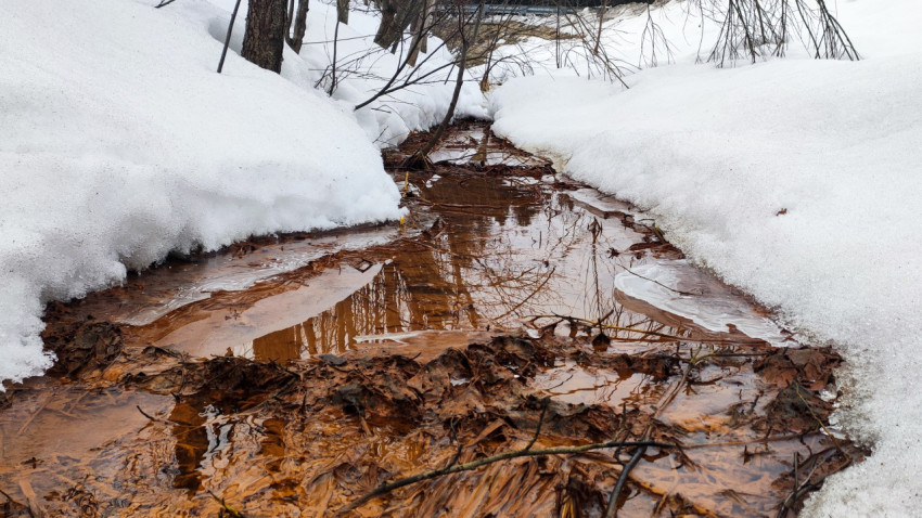 Весенний ручей, протекающий под снежным покровом в лесу