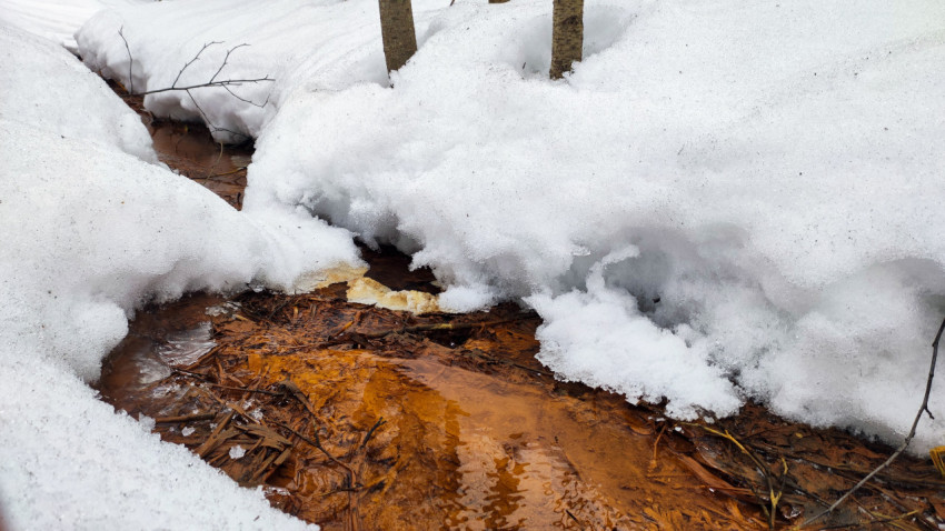 Весенний ручей среди снежного покрова в лесу
