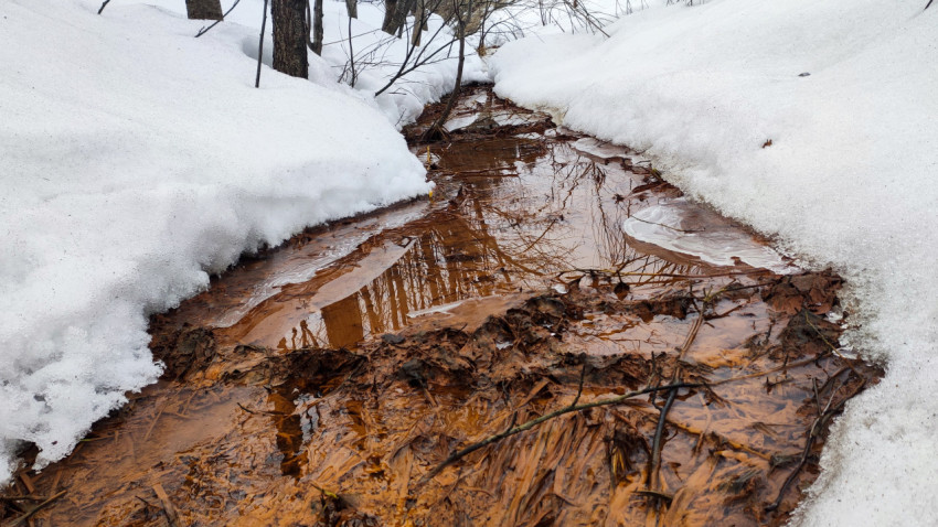 Талый ручей с отражением деревьев среди снежных берегов