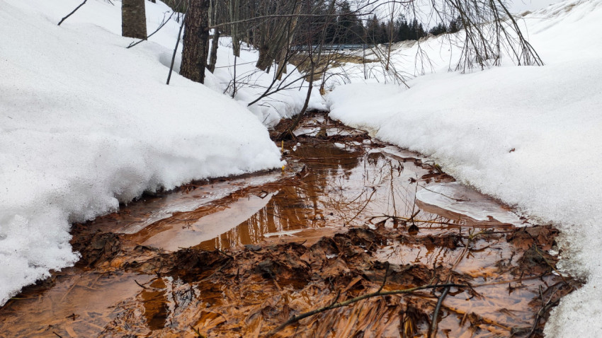 Ручей талой воды под снегом в лесной низине