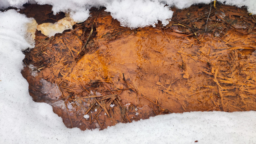 Талый ручей с органическими остатками под снегом