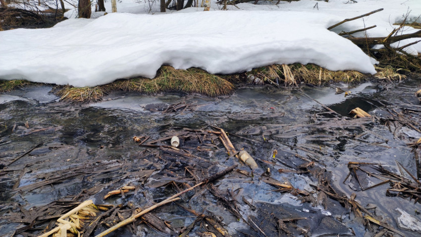 Таяние снега и талые воды у кромки леса