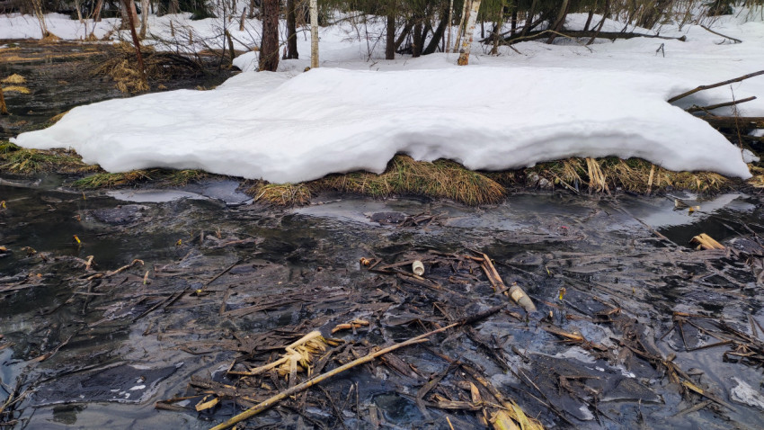Весеннее болото с проталинами и тающим снегом