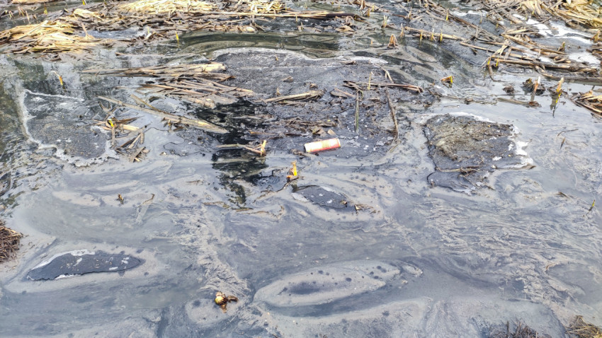 Загрязнение талой воды в болотистой местности