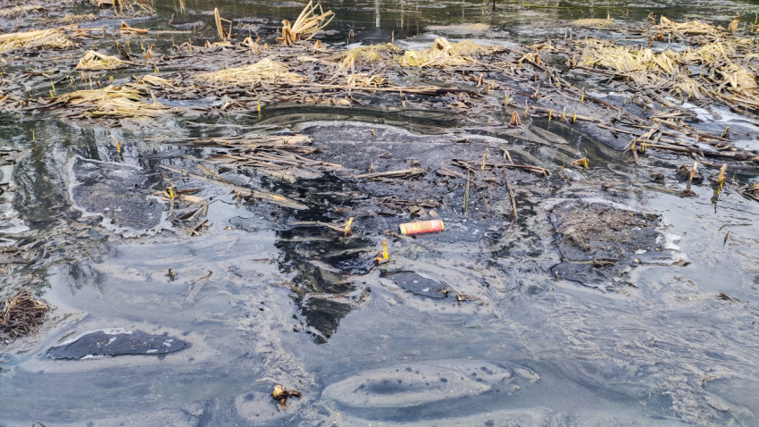 Плавающий мусор на поверхности весеннего болота