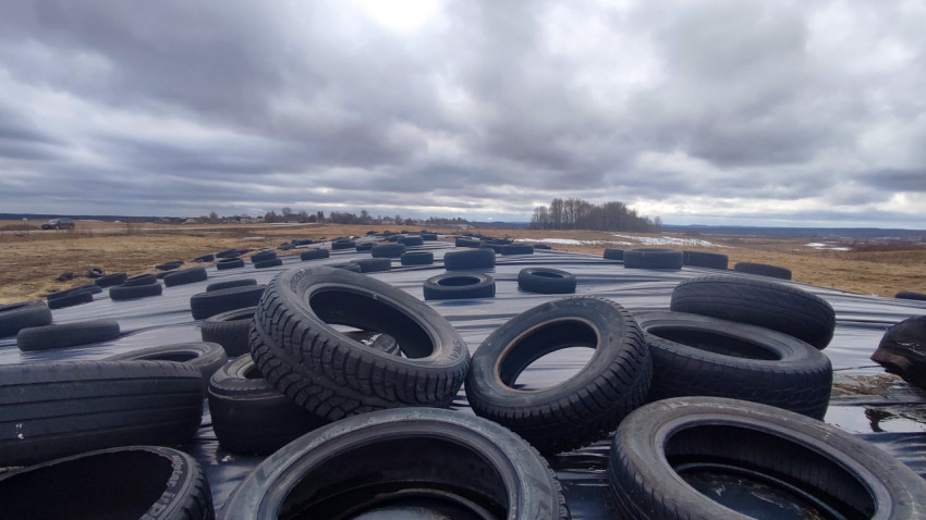 Силосное хранилище, укрытое плёнкой и шинами для защиты от воздуха
