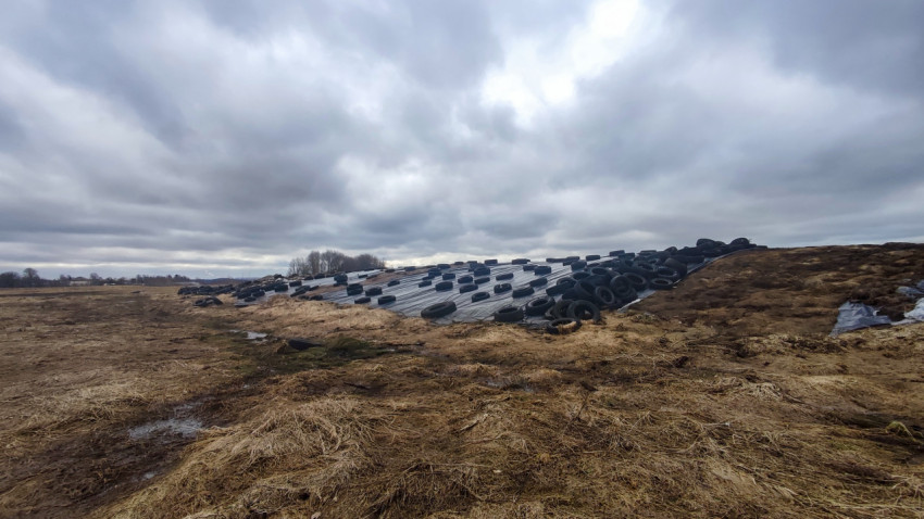 Силосная яма на ферме с укрытием из шин и плёнки