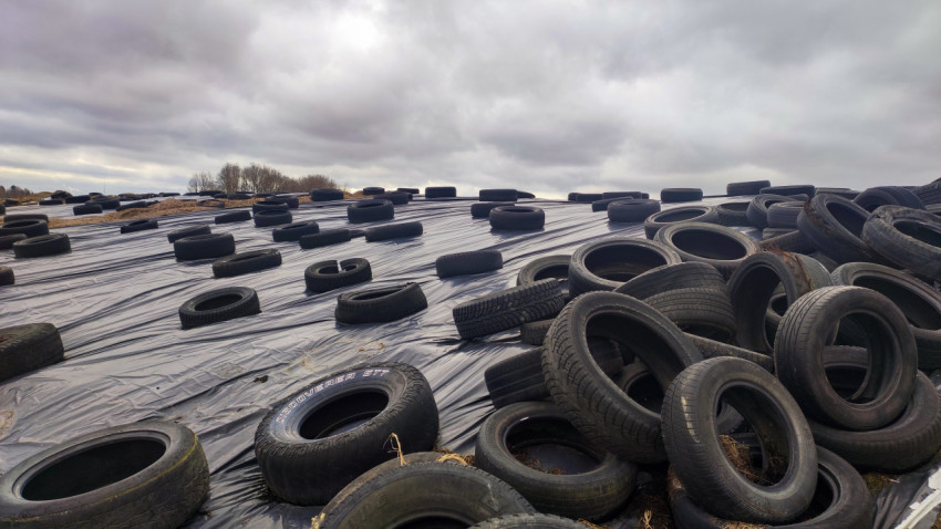 Силосная яма с автомобильными шинами на ферме