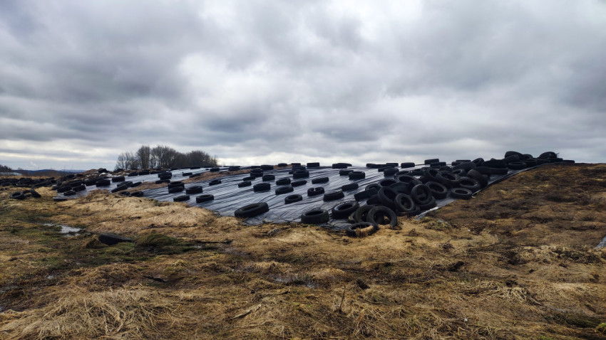 Сельскохозяйственная силосная траншея с плёнкой и шинами