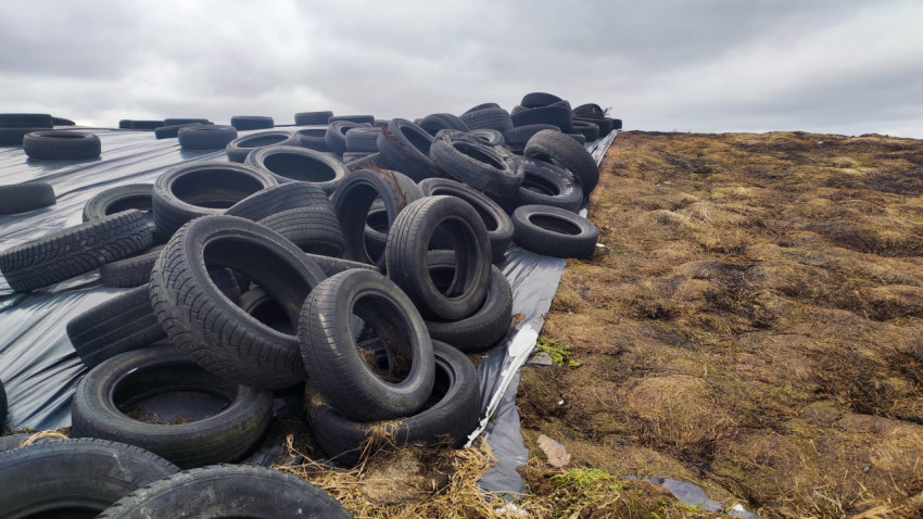 Силосная яма с автомобильными шинами на фермерском поле