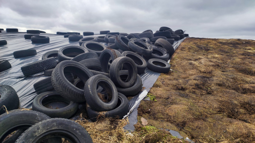 Силосная траншея с полиэтиленовым покрытием и шинами