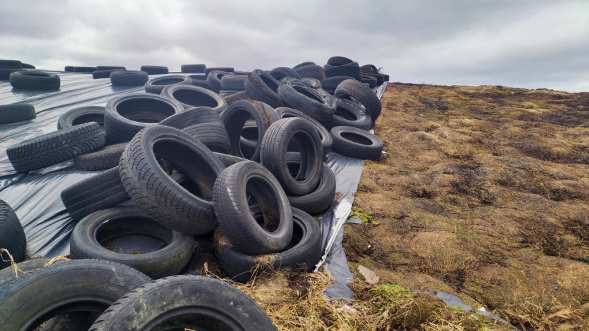 Укрытие для силоса, зафиксированное автомобильными шинами