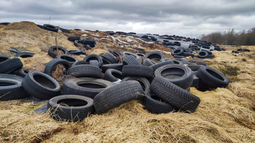Силосное хранилище под плёнкой с автомобильными шинами в качестве утяжелителей
