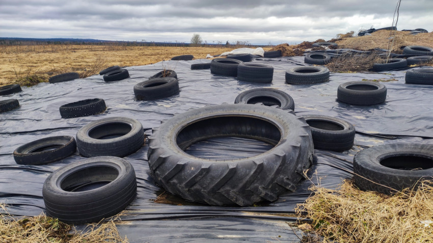 Крупные и малые шины как утяжелители на укрытии силоса