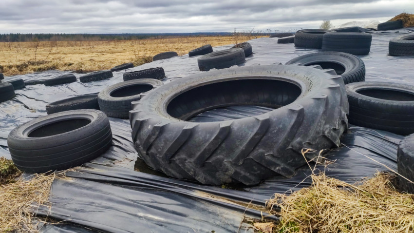 Тракторная и автомобильные шины на плёнке, укрывающей силос