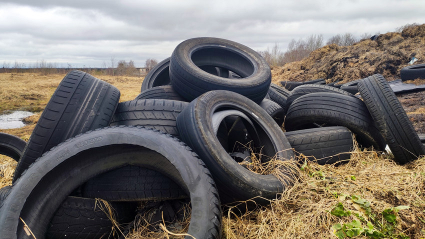 Старые шины, использованные для утяжеления силосной плёнки