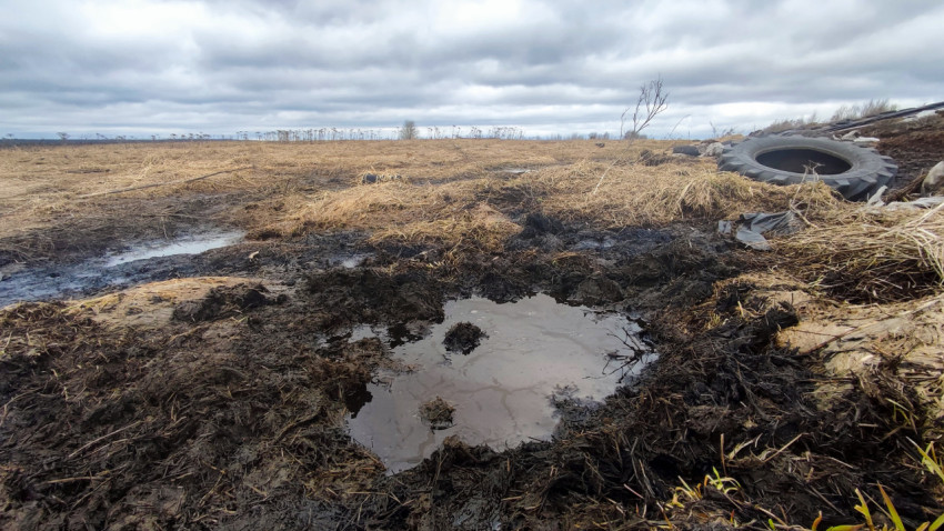 Поле с лужами и тракторной шиной на фоне остатков силоса