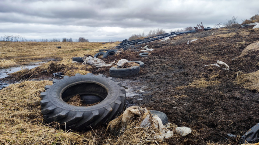 Остатки силоса и покрышки на краю фермерского поля