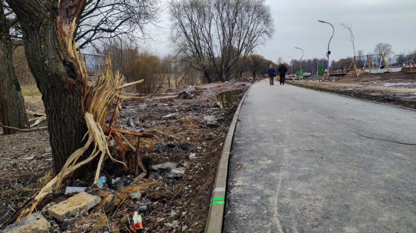 Повреждённое дерево и новая пешеходная дорожка
