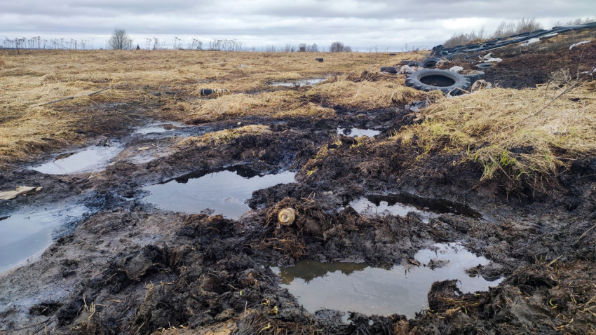 Лужи и влажная почва у силосной ямы с покрышками