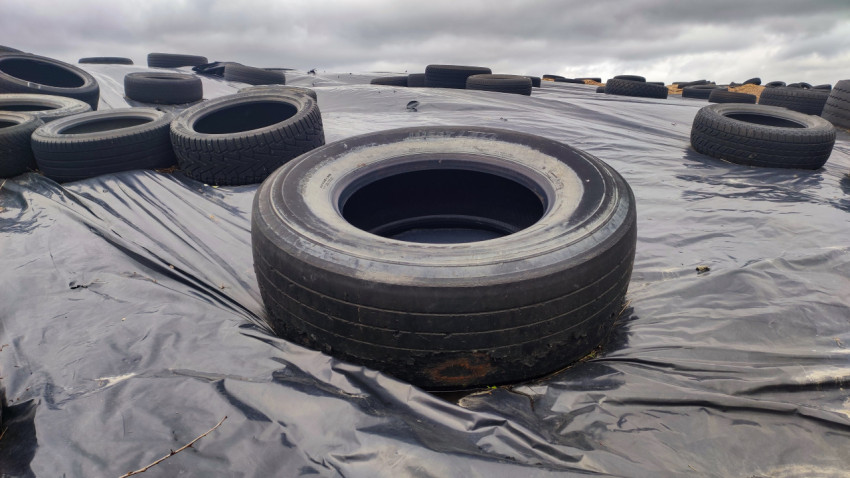 Силосное укрытие с крупными автомобильными шинами на плёнке