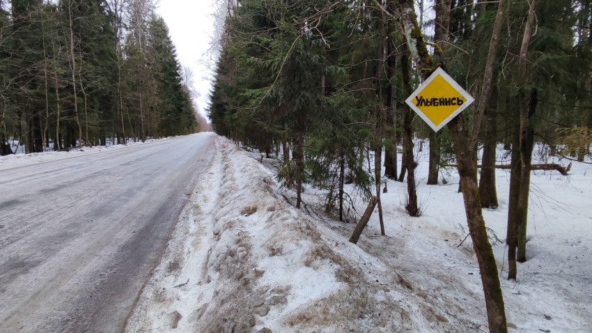 Дорога через зимний лес и знак «Улыбнись»