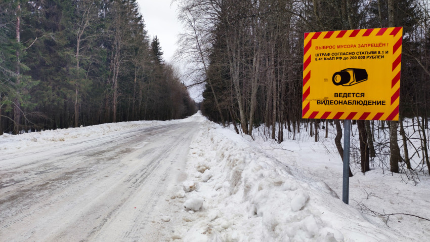 Лесная дорога зимой и знак о видеонаблюдении против выброса мусора