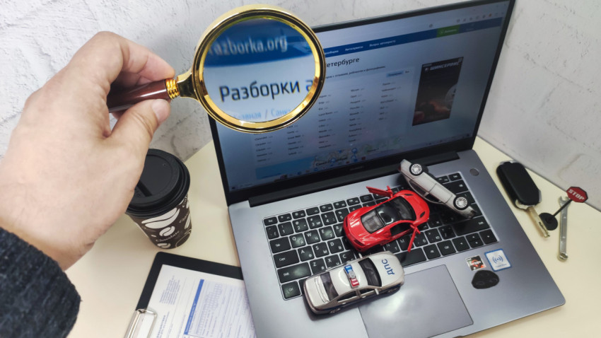 Поиск информации на сайте razborka.org через лупу