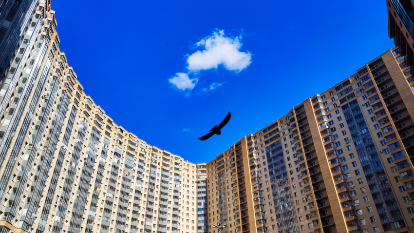 ЖК «Новый Оккервиль» с пролетающей птицей над двором