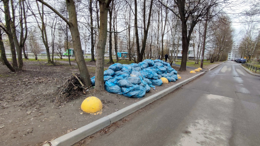 Мешки с опавшей листвой, сложенные вдоль придомовой дороги
