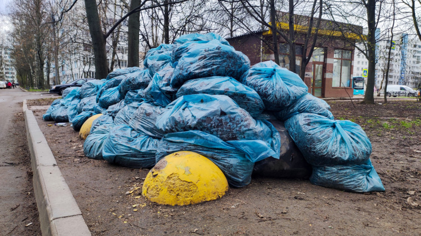 Мешки с собранной листвой у тротуара на фоне жилых домов