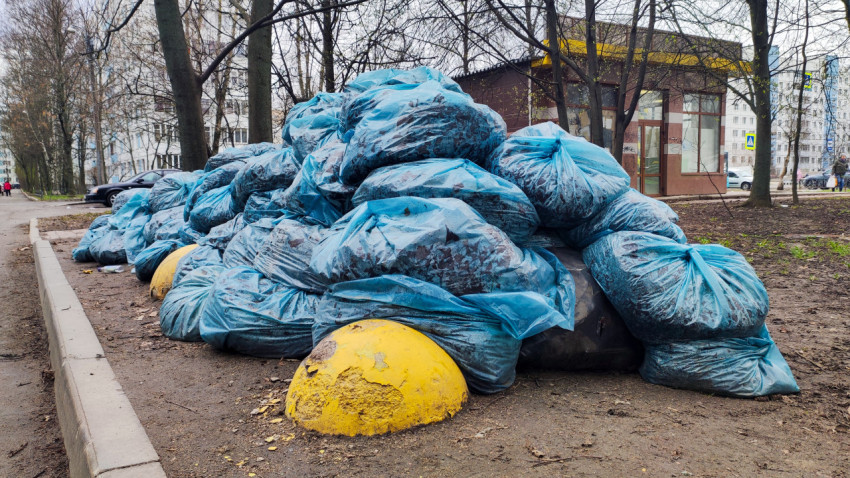 Мешки с собранной листвой у тротуара в жилом квартале