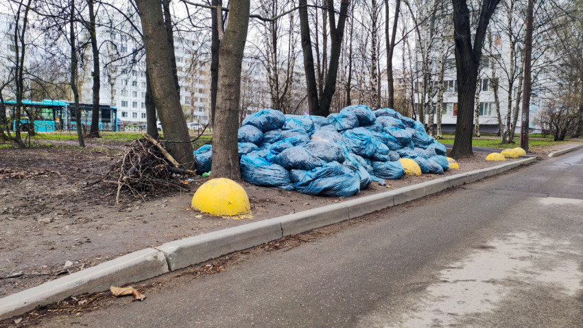 Складированные мешки с листьями у проезжей части в жилом районе