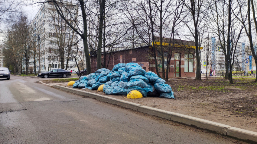 Складированные мешки с собранной листвой у жилых домов