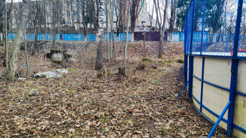 Лесной склон с видом на жилые здания и ограждение площадки