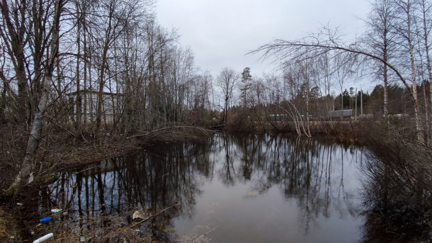 Весенний пруд с отражением деревьев на фоне пригородной застройки