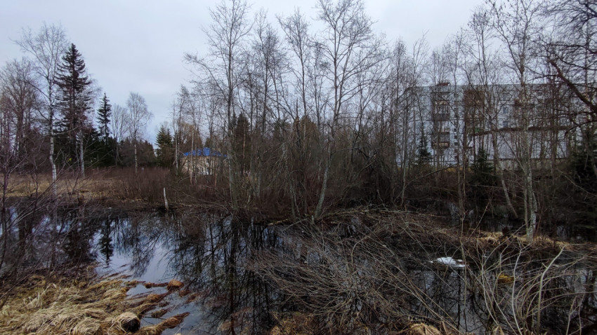 Весенний водоём у жилого квартала на городской окраине