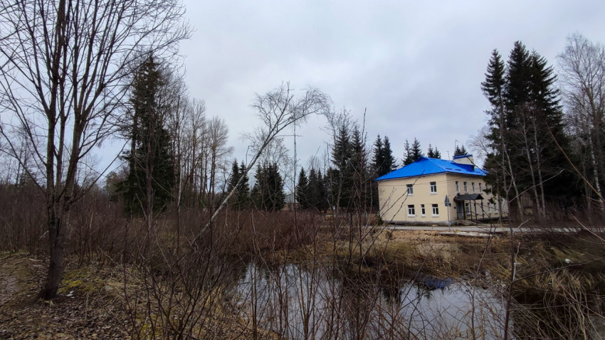 Здание с синей крышей у водоёма и лесополосы