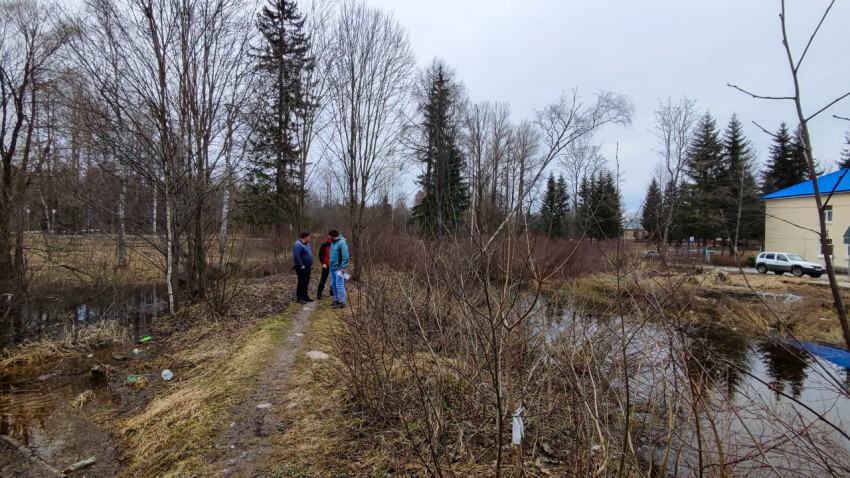 Группа людей на тропе у водоёма в лесной зоне
