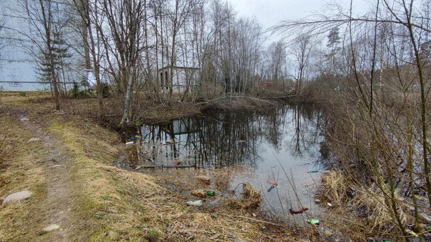 Пруд у тропы с мусором и деревьями ранней весной