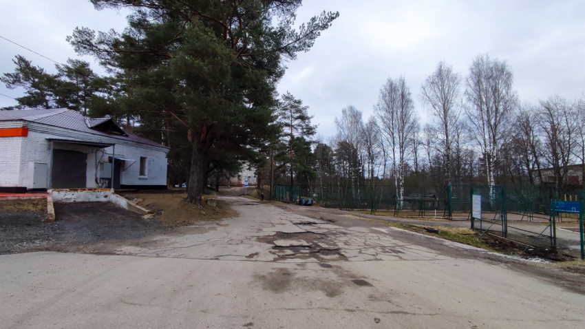 Загородная дорога у лесного массива рядом с хозяйственной постройкой