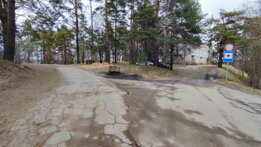 Развилка пригородных дорог среди соснового леса