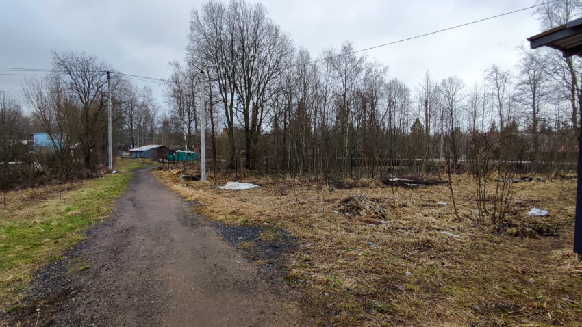 Загородная тропа вдоль участков и лесополосы