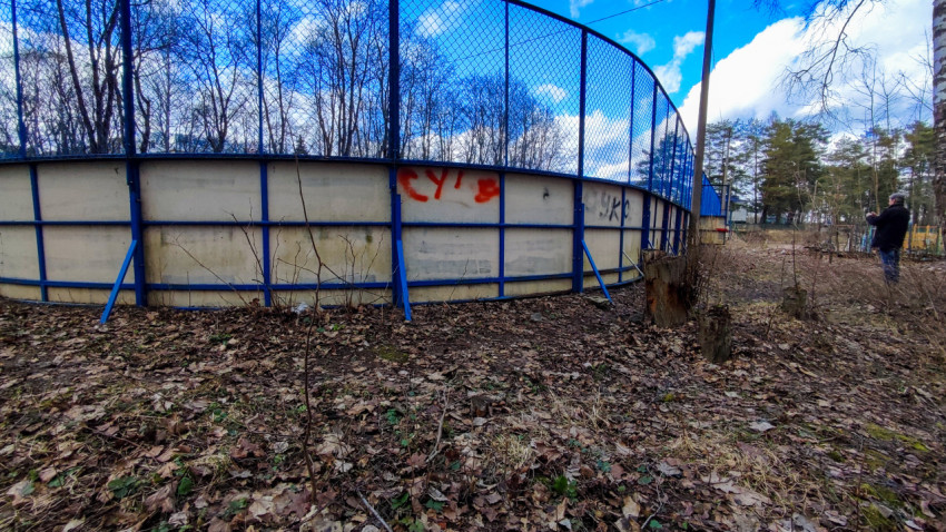 Ограждение спортивного корта с граффити на фоне леса