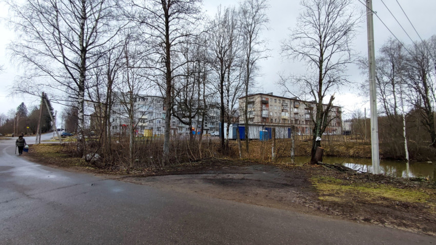 Жилые пятиэтажки у пруда и весенней растительности