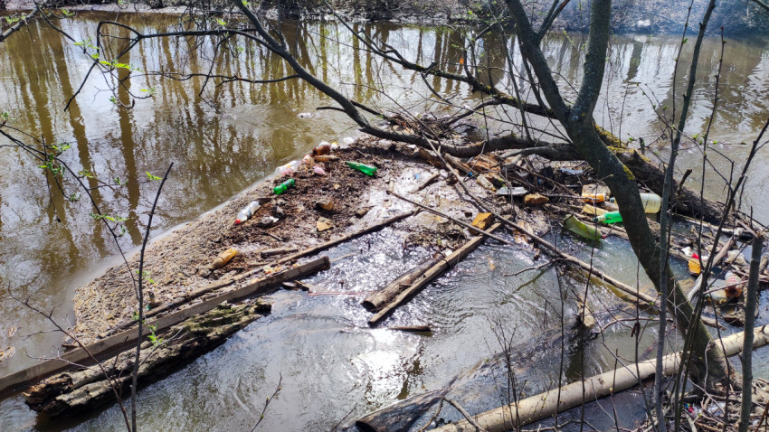 Загрязнённый участок реки с мусором и упавшими деревьями