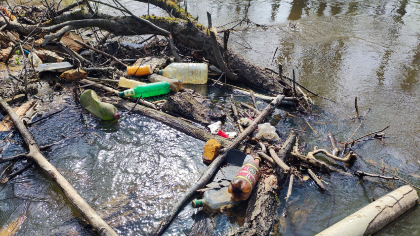 Мусор и пластиковые бутылки на поверхности воды у берега